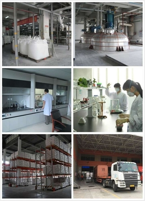 96/4 Saturated HAA Polyester Resin With Low Curing Agent For Primid Powder Coatings